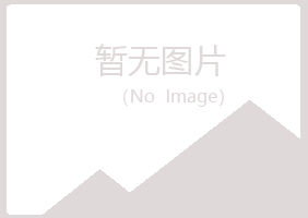 青岛崂山沉沦金属有限公司